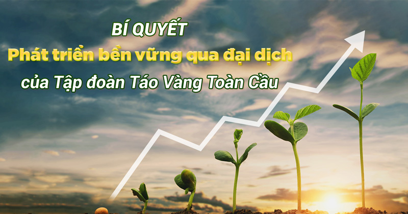 Bí quyết phát triển bền vững qua đại dịch của Tập đoàn Táo Vàng Toàn Cầu